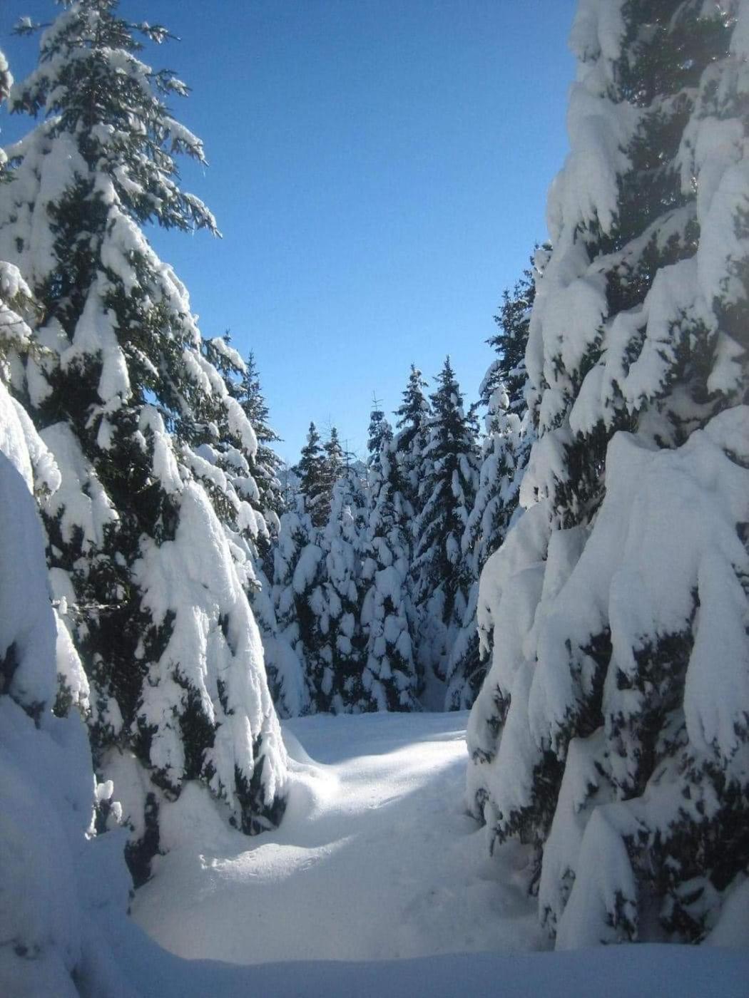 Suite Chalet Ponte Di Legno Camera foto